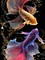 5D Diamond Art Kits for Adults Colorful Fighting Fish by Number Kits, Diamond Painting Art Fish DIY Full Drill Crystal Craft Cross Stitch Embroidery Decoration (12x16 inch) 30x40 cm